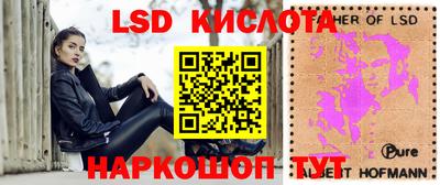 шишки Камышлов