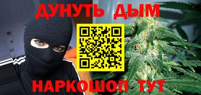 шишки Камышлов