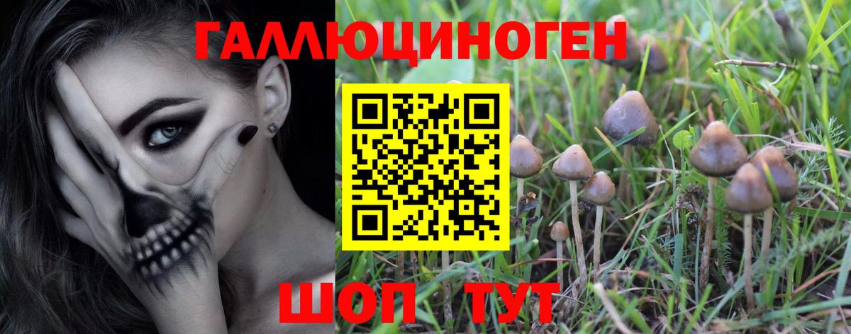 Краснознаменск  Псилоцибиновые грибы ЛСД  Псилоцибиновые грибы мухоморы  Вход с VPN 